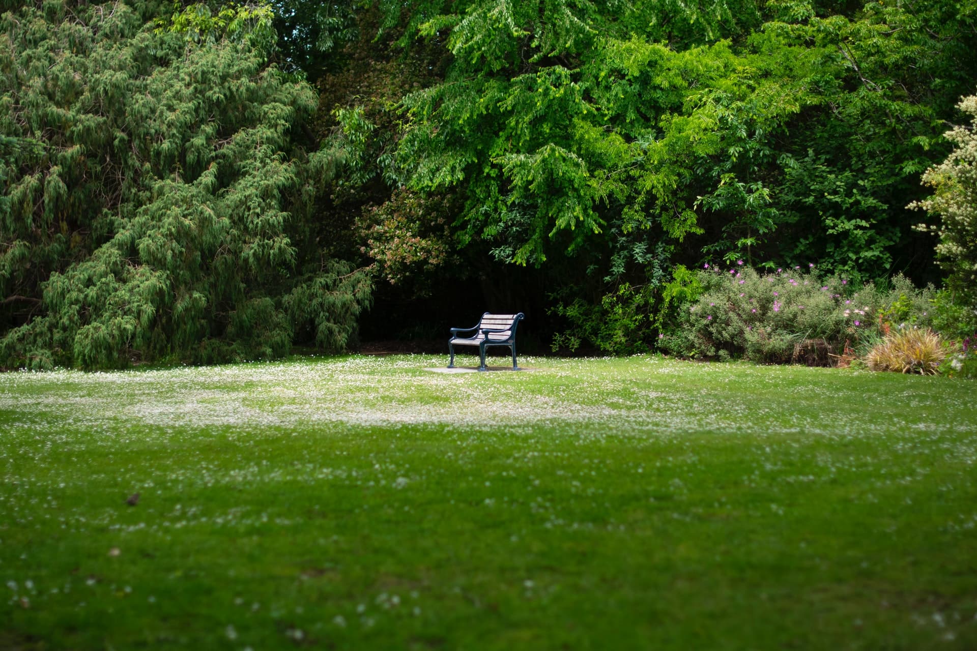 Where to relax in Highbury Barn